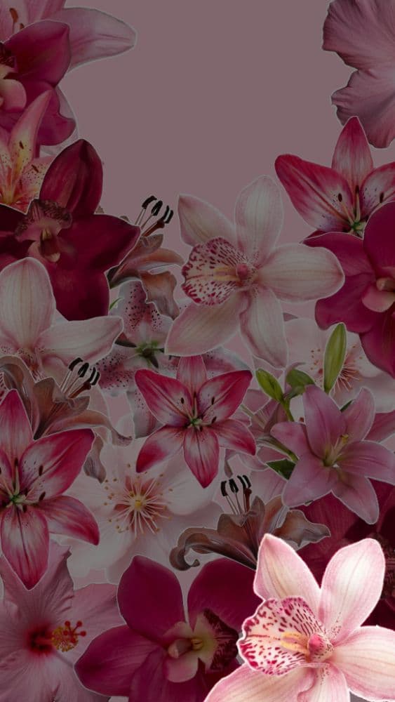 Background Texture
